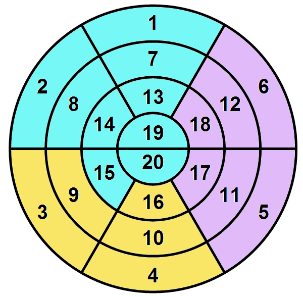 PCARD 20-Segment Model Polar Plot