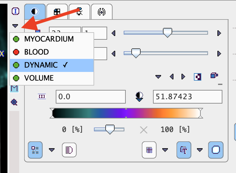 GatedAnalsyisImageSelection