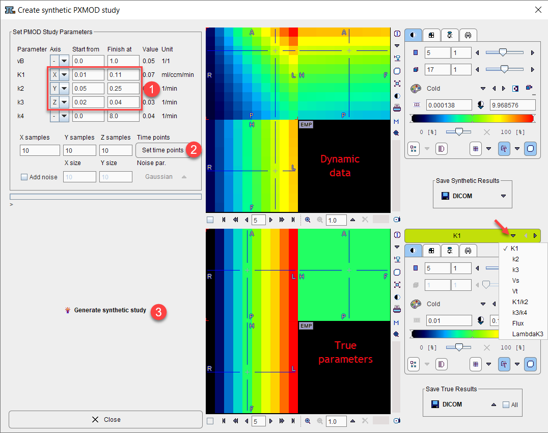 Synthetic PMOD Study Dialog