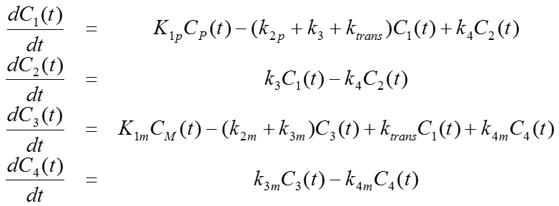 PKIN 4 Compartment Model with Metabolites, Equation