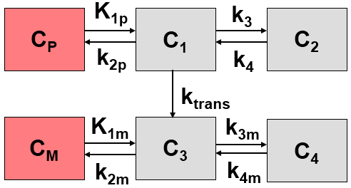 PKIN 4 Compartment Model with Metabolites, Compartment Drawing