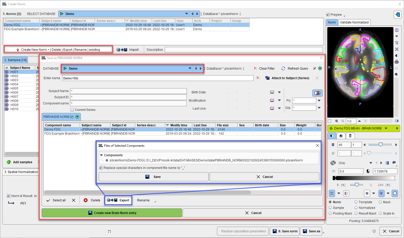 Brain DB Export