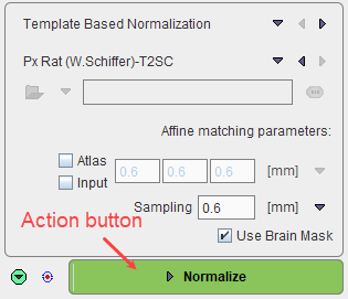 ActionButton