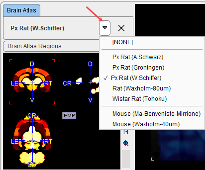 AtlasSelection